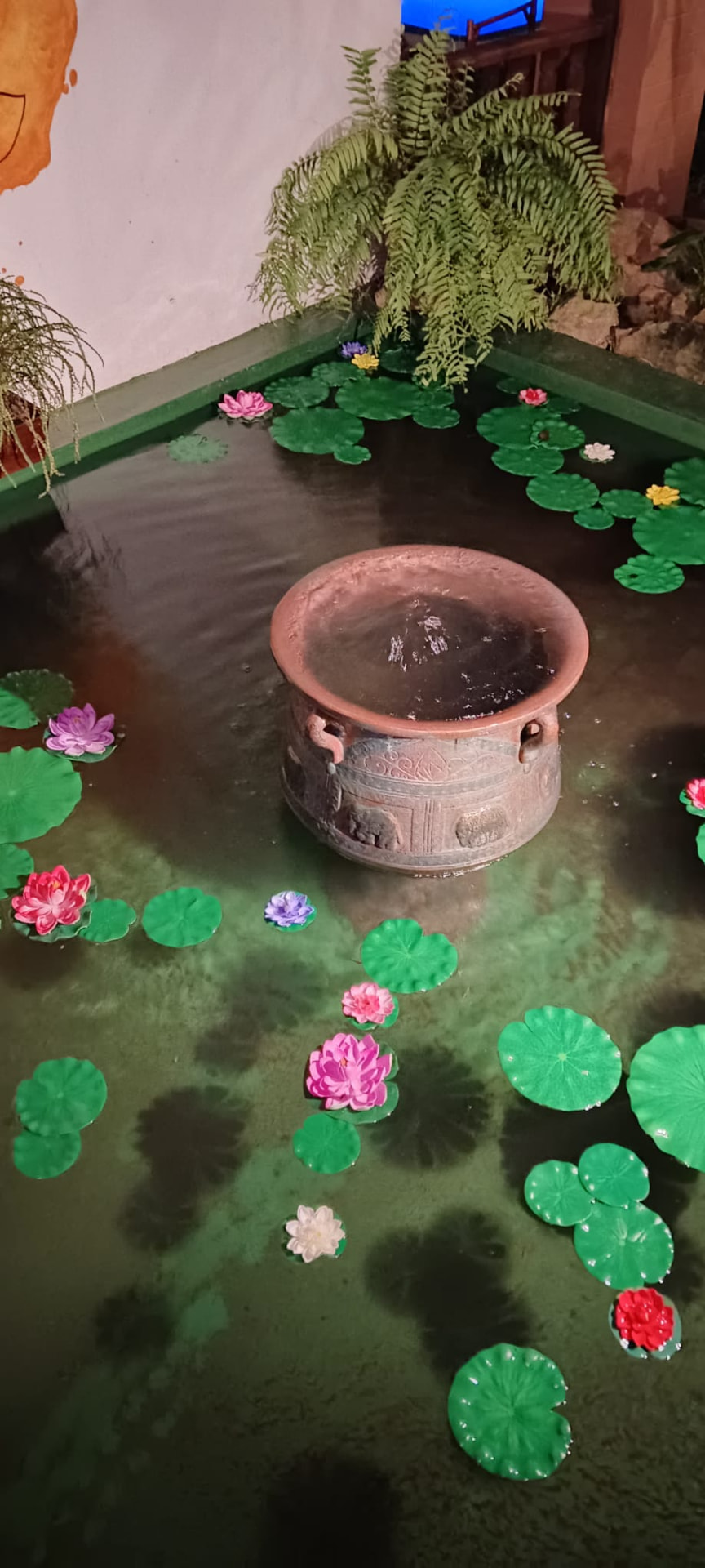 Lily pond with lotus flowers at Koh Shanti